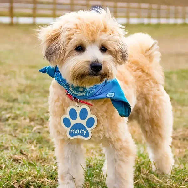 Adornos con forma de patas de perro de madera para pintar a mano, idetificador para poner el nombre, decoracion para arbol de navidad y celebraciones caninas