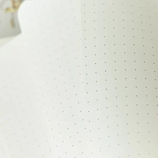 Agenda - Diario de hoja punteada para planificar anño, semana y dia. cuaderno de cuadrícula de puntos